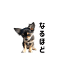 モイスタンプ（日常編）（個別スタンプ：16）