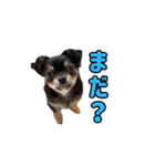 モイスタンプ（日常編）（個別スタンプ：19）