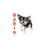 モイスタンプ（日常編）（個別スタンプ：20）
