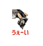 モイスタンプ（日常編）（個別スタンプ：24）