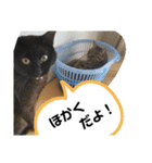 Moto猫スタンプ2（個別スタンプ：3）
