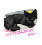 Moto猫スタンプ2（個別スタンプ：5）