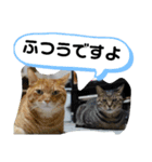 Moto猫スタンプ2（個別スタンプ：7）