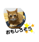 Moto猫スタンプ2（個別スタンプ：20）