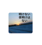 ようこオリジナル①（個別スタンプ：4）