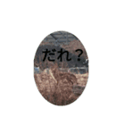 ようこオリジナル①（個別スタンプ：5）