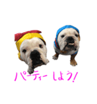 のんびりブルスタンプ（個別スタンプ：19）