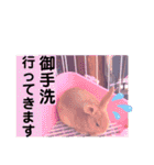 うさぎのハル 熱血編（個別スタンプ：7）