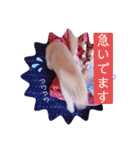 うさぎのハル 熱血編（個別スタンプ：9）