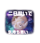 うさぎのハル 熱血編（個別スタンプ：12）
