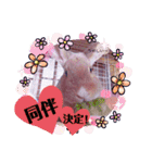 うさぎのハル 熱血編（個別スタンプ：15）