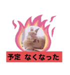 うさぎのハル 熱血編（個別スタンプ：16）