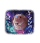 うさぎのハル 熱血編（個別スタンプ：18）