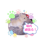 うさぎのハル 熱血編（個別スタンプ：26）