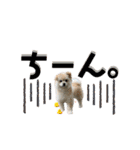 我が家のハーフ犬ポメチ⑨（個別スタンプ：30）