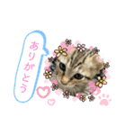 Ashura(アシュラ)♂4（個別スタンプ：18）