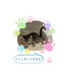 Ashura(アシュラ)♂4（個別スタンプ：19）