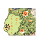 ジャッキー太郎・9（個別スタンプ：2）