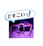 ジャッキー太郎・9（個別スタンプ：8）