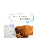 kisapuu（個別スタンプ：1）