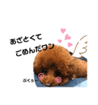 kisapuu（個別スタンプ：6）
