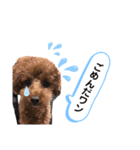 kisapuu（個別スタンプ：8）