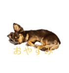 大好きRitaちゃん（個別スタンプ：6）