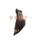 大好きRitaちゃん（個別スタンプ：7）