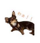 大好きRitaちゃん（個別スタンプ：15）