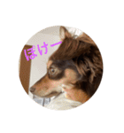 大好きRitaちゃん（個別スタンプ：18）