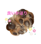 大好きRitaちゃん（個別スタンプ：26）