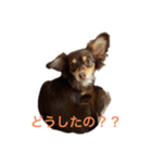 大好きRitaちゃん（個別スタンプ：28）