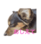 大好きRitaちゃん（個別スタンプ：30）