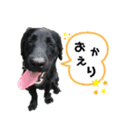 いつだってだんて 2番ていくつぅー（個別スタンプ：10）