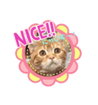 ただただ可愛い、こうめちゃんスタンプ♡2（個別スタンプ：2）