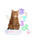 ただただ可愛い、こうめちゃんスタンプ♡2（個別スタンプ：3）