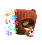 ただただ可愛い、こうめちゃんスタンプ♡2（個別スタンプ：12）