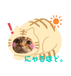 ただただ可愛い、こうめちゃんスタンプ♡2（個別スタンプ：14）