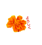 幸せになる四葉のクローバー（個別スタンプ：5）