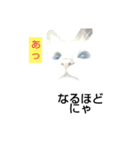 白猫 もち れお（個別スタンプ：1）