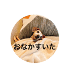 シラン0106（個別スタンプ：2）
