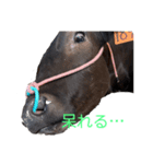 ウシのエミ（個別スタンプ：3）