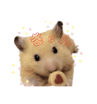 キンクマハムスターのキーマさん（個別スタンプ：3）