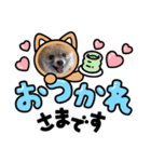 黒ヒゲきなこの夏。（個別スタンプ：3）