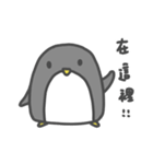 御宅ペンギン NO.1（個別スタンプ：5）