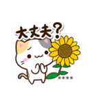 小さい三毛猫☆夏【カスタム】（個別スタンプ：18）
