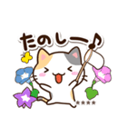 小さい三毛猫☆夏【カスタム】（個別スタンプ：22）