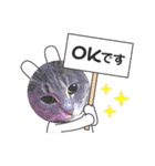あんこあんこあんこ（個別スタンプ：17）