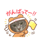 あんこあんこあんこ（個別スタンプ：22）