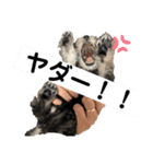 なるたん会話（個別スタンプ：8）